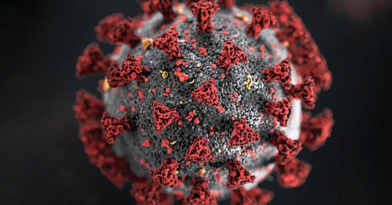 Dakhla : L'Afrique doit renforcer la prévention et la surveillance épidémiologique