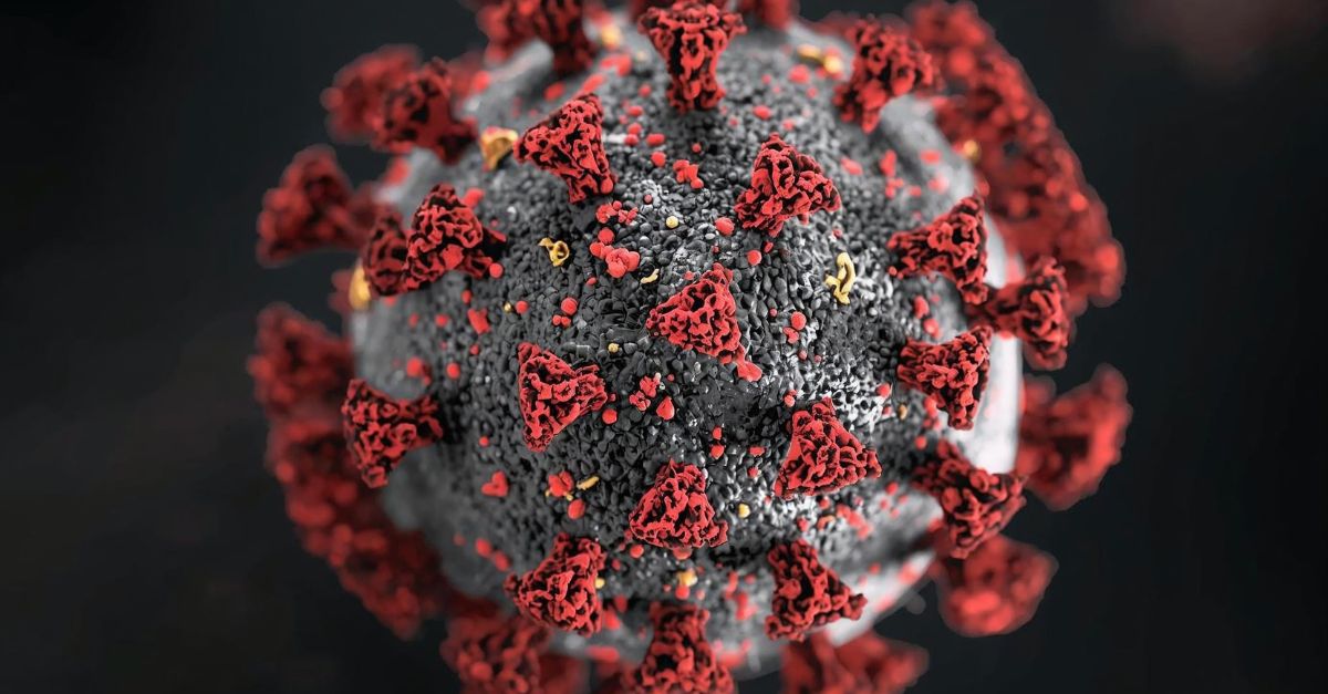 Dakhla : L'Afrique doit renforcer la prévention et la surveillance épidémiologique